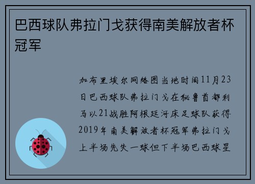 巴西球队弗拉门戈获得南美解放者杯冠军