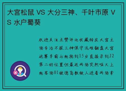 大宫松鼠 VS 大分三神、千叶市原 VS 水户蜀葵